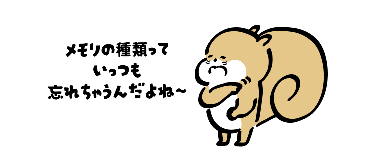 メモリの種類って
いっつも忘れちゃうんだよね〜
