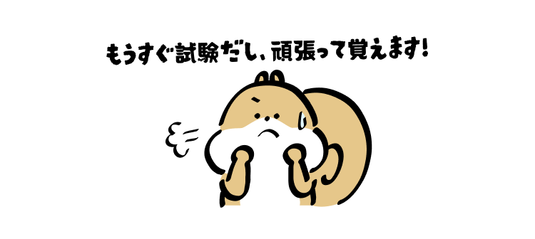 もうすぐ試験だし、頑張って覚えます!