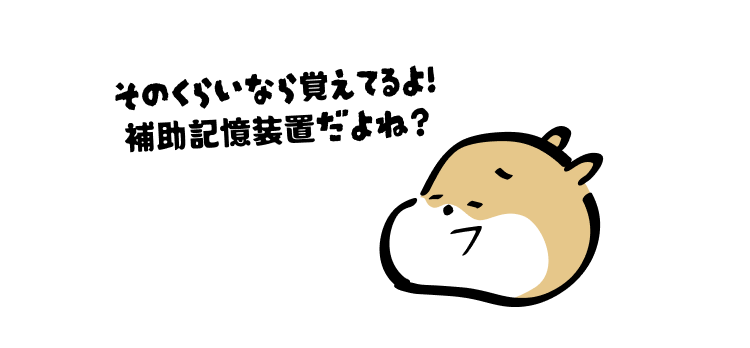 そのくらいなら覚えてるよ!
補助記憶装置だよね?